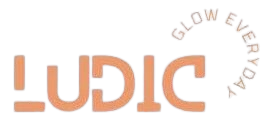 Ludic Bags